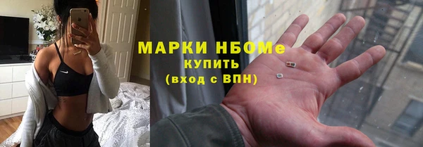 прущие грибы Семикаракорск