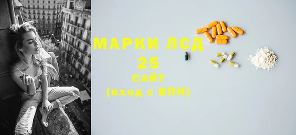 прущие грибы Семикаракорск